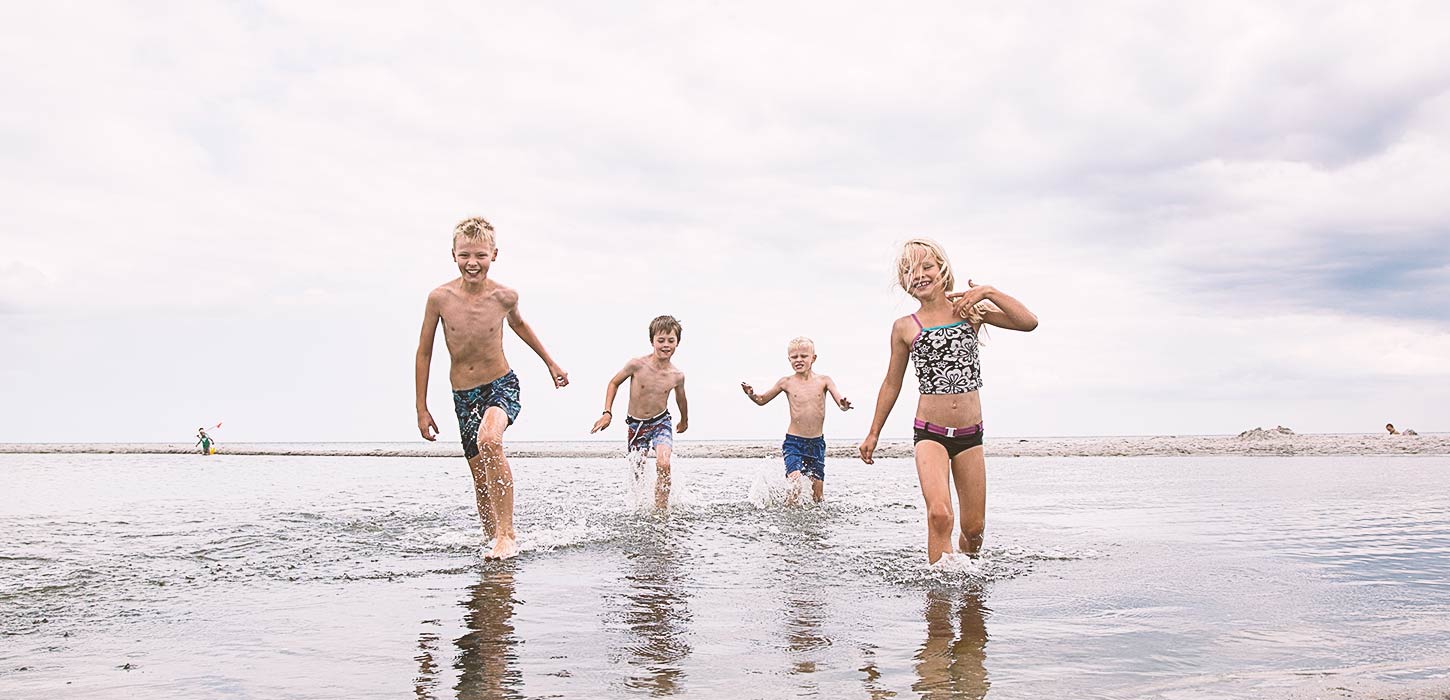 Beach at Aalborg Coast