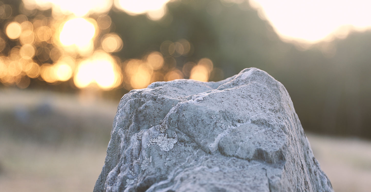 Lindholm Høje ved Aalborg