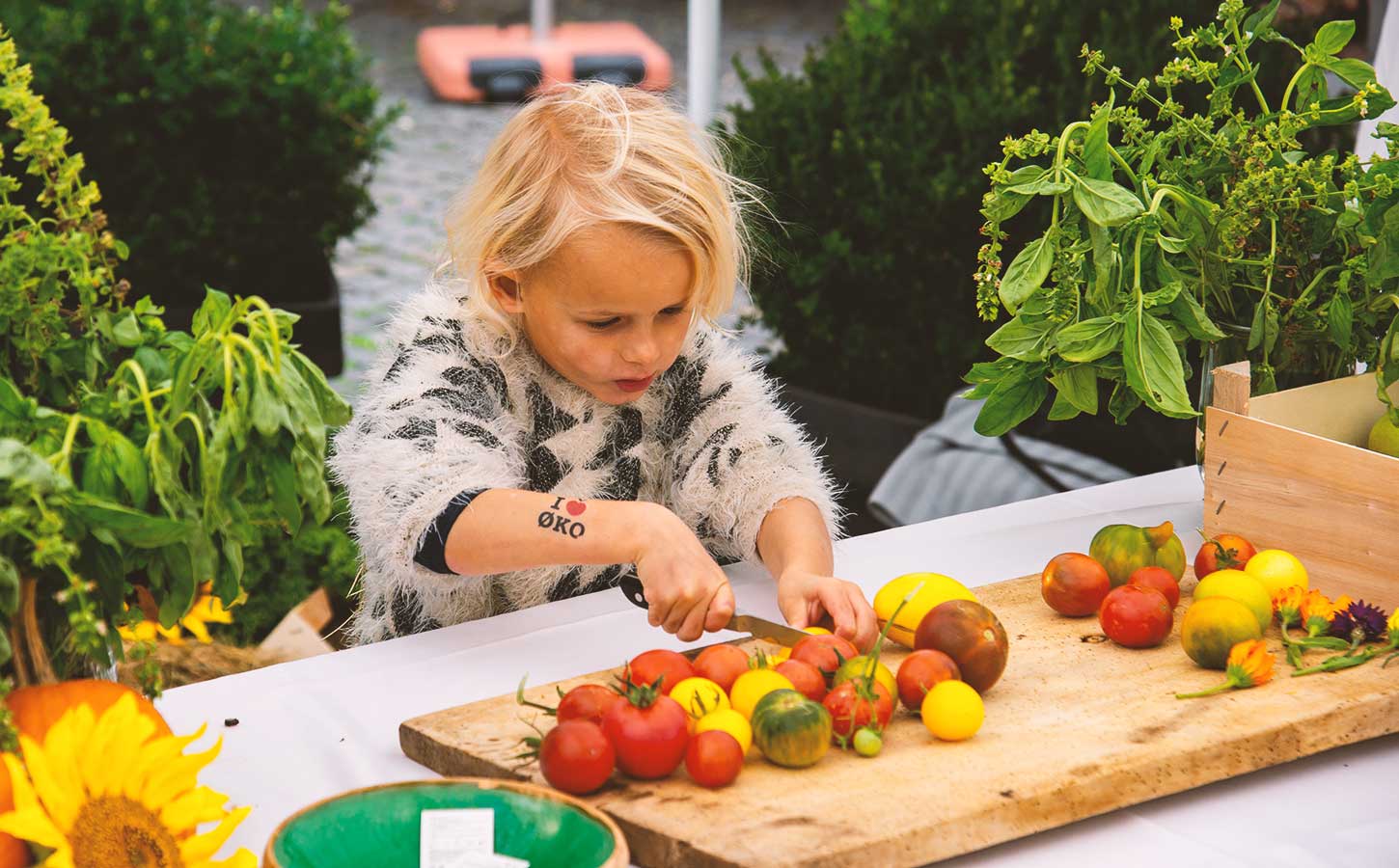 Nordjysk Madfesitval i Aalborg