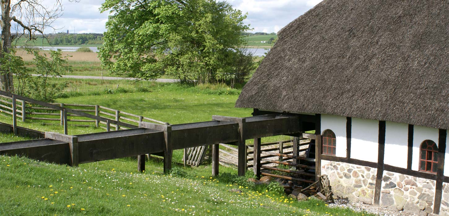 Halekær Møllehus med sø i baggrunden