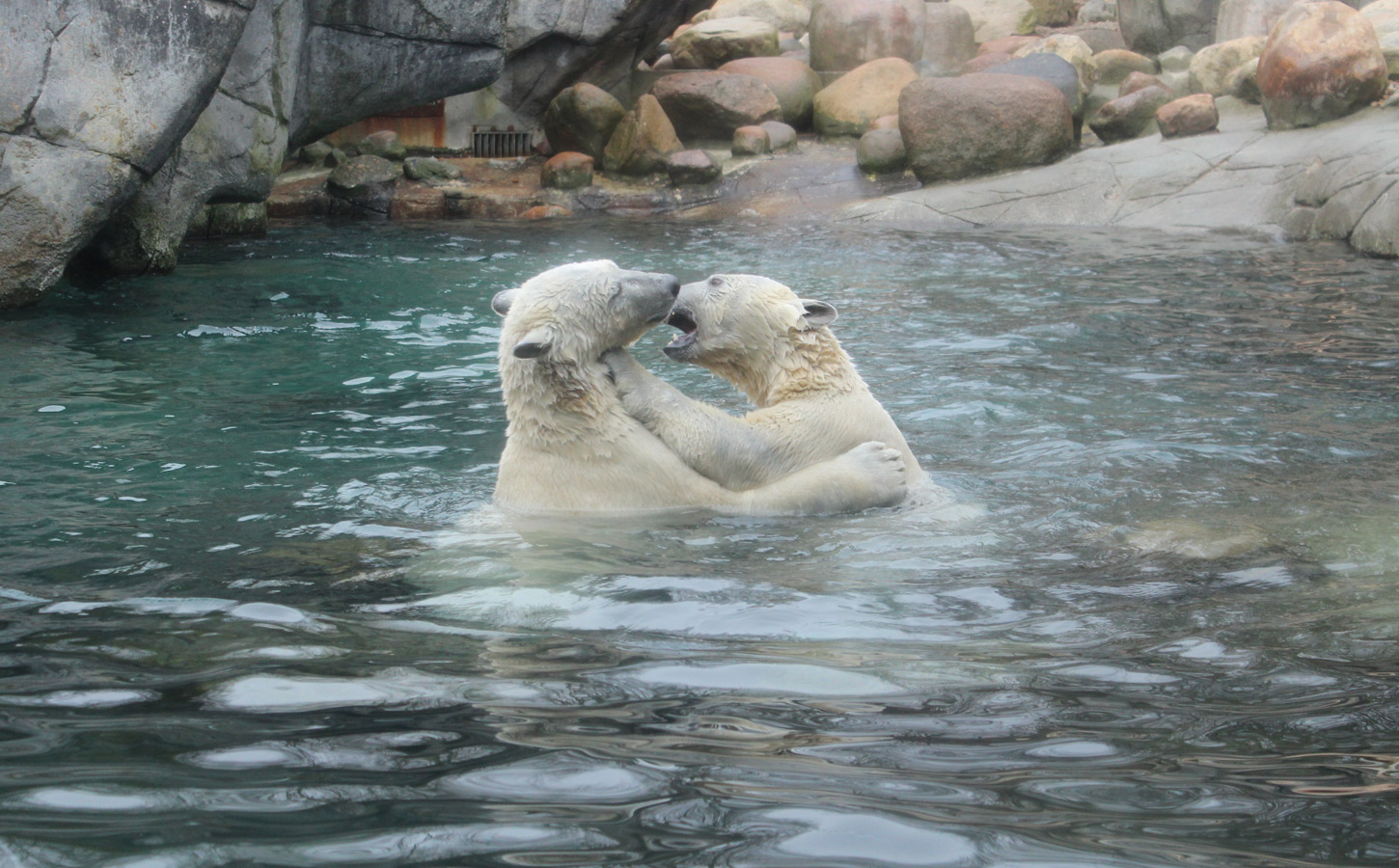 Aalborg Zoo