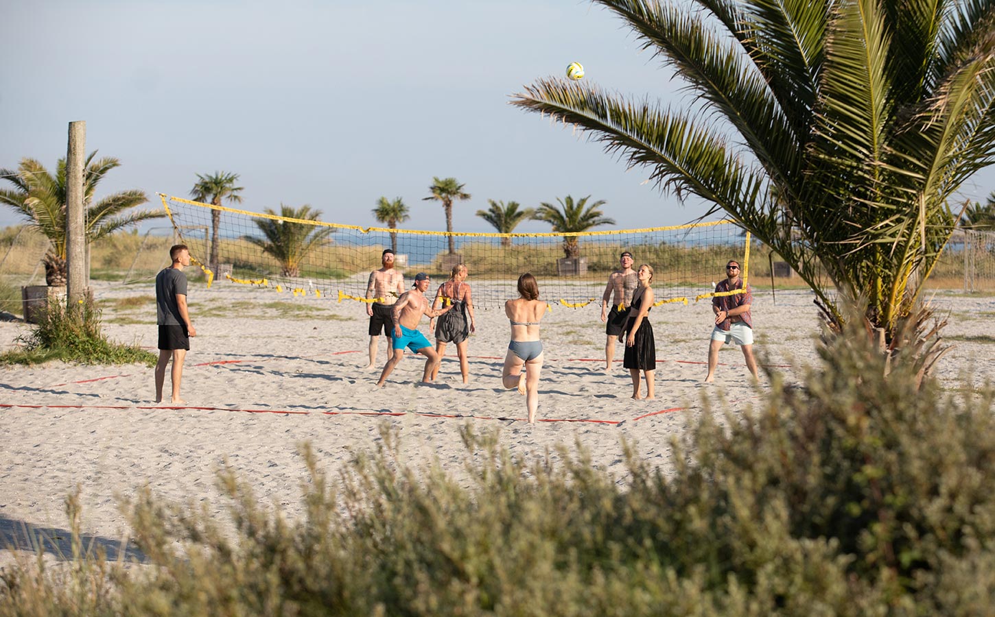 Palmestranden i Frederikshavn
