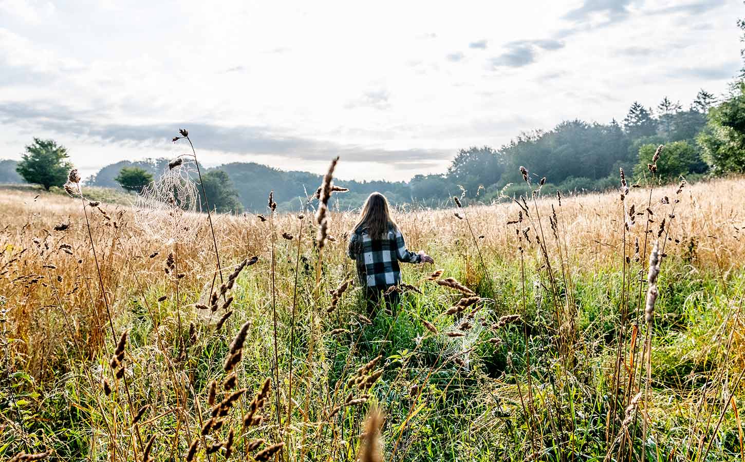 Jyske Ås i Nordjylland