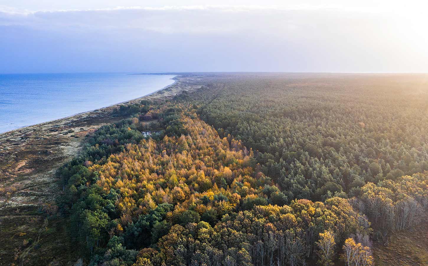 Skov og kyst på Læsø