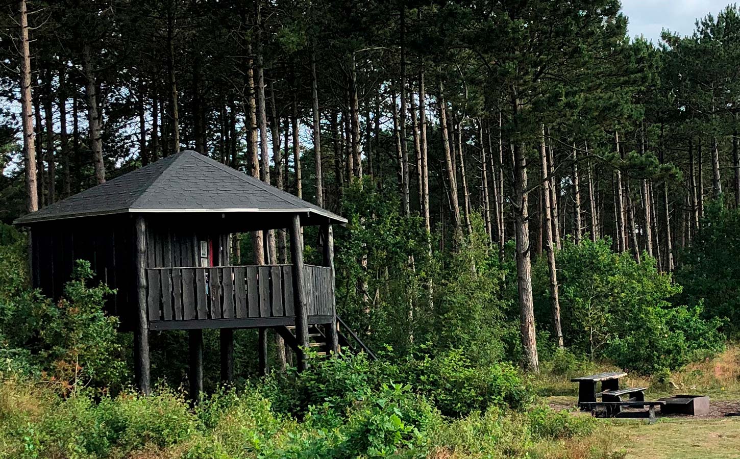 Shelters i Professorens Plantage i Sæby