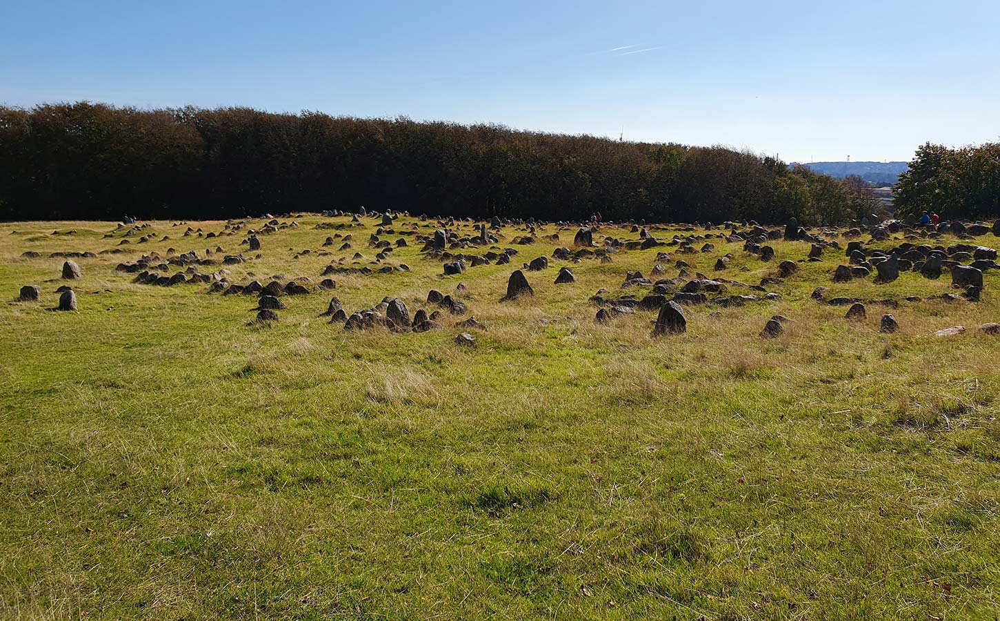 Lindholm Høje i Aalborg