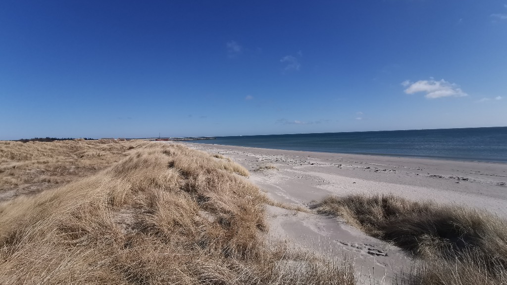 Stranden ved DCU Ålbæk Strand Camping