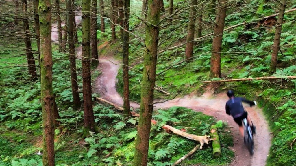 MTB i skove