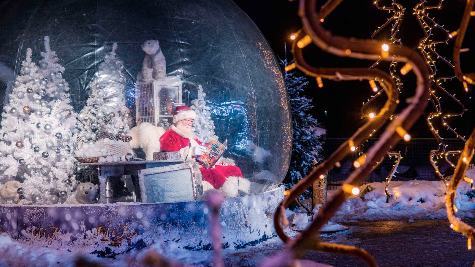Jul i Aalborg Zoo
