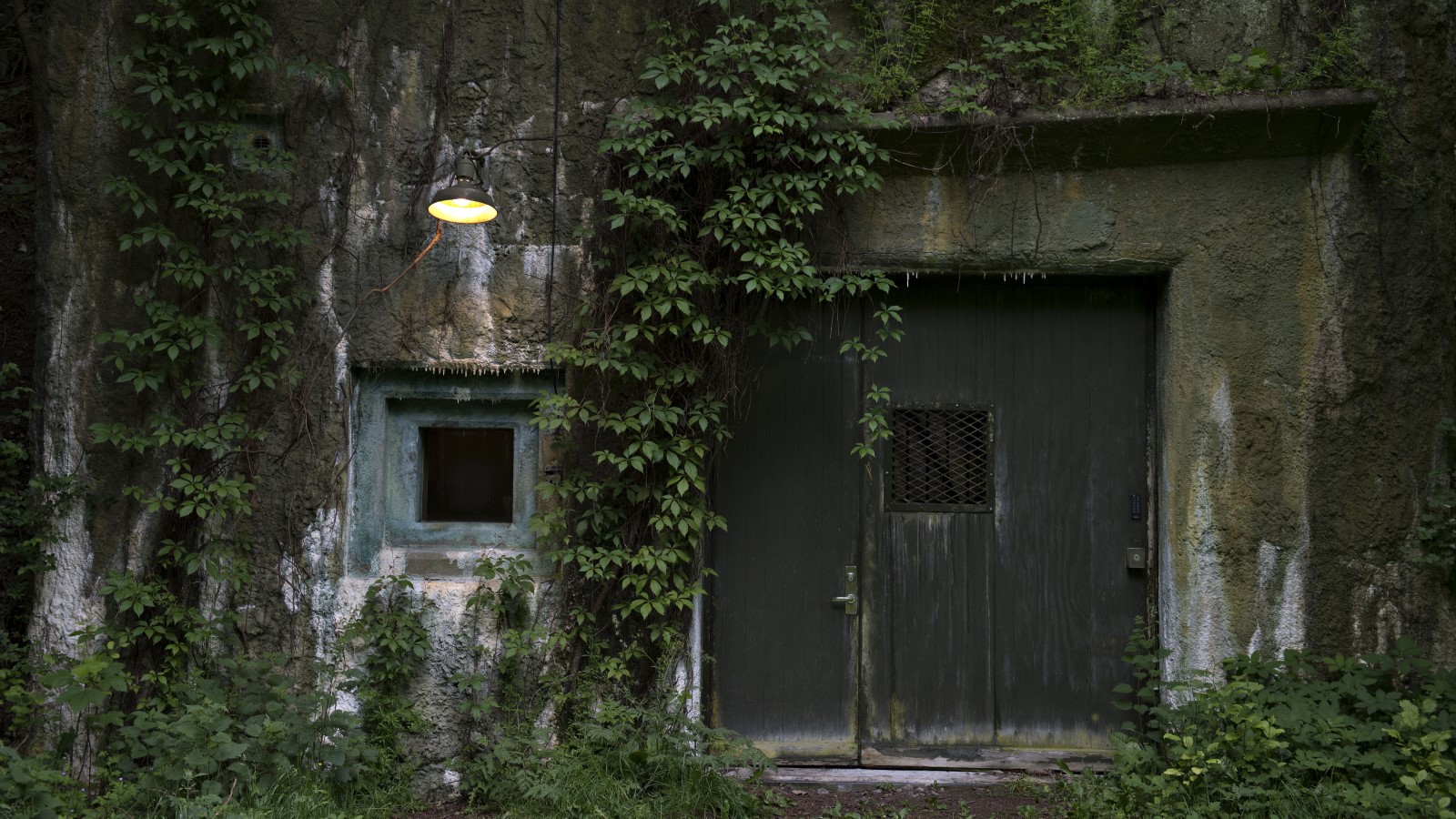 Regan VEST set udefra