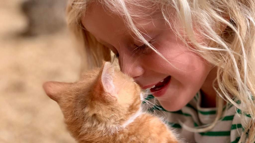 En pige med en kattekilling 