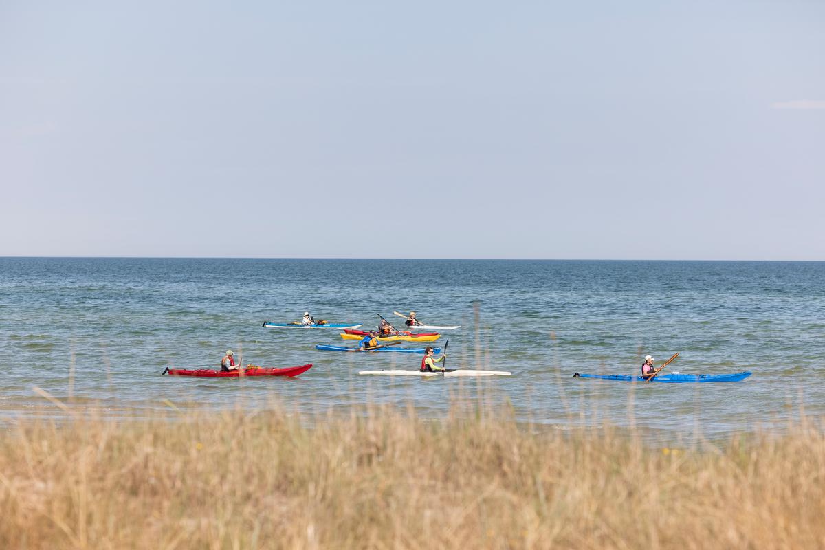 Kajaksejlads ved Hals strand 