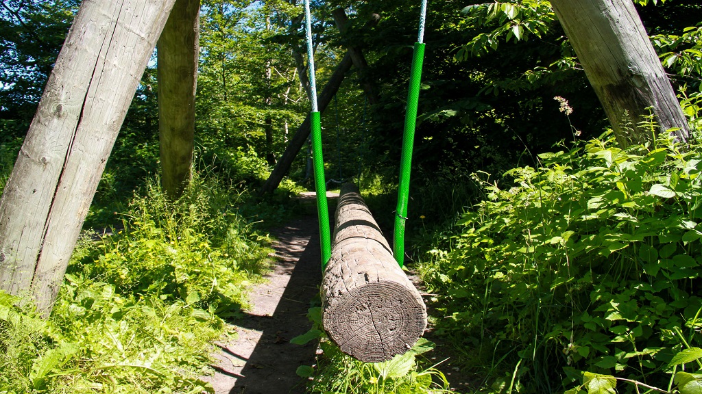 Junglestien Dronninglund Naturpark