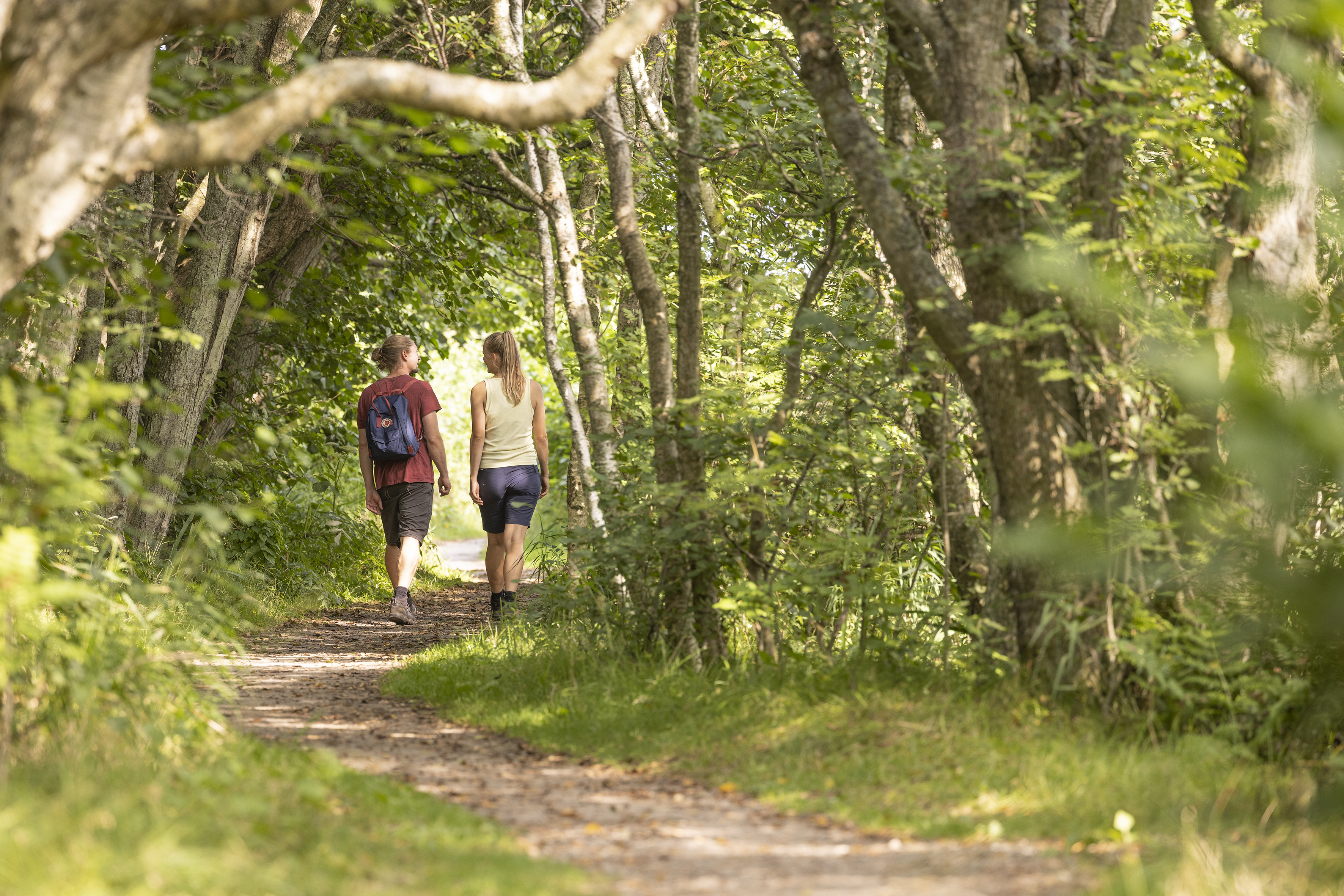 Naturoplevelser på Læsø