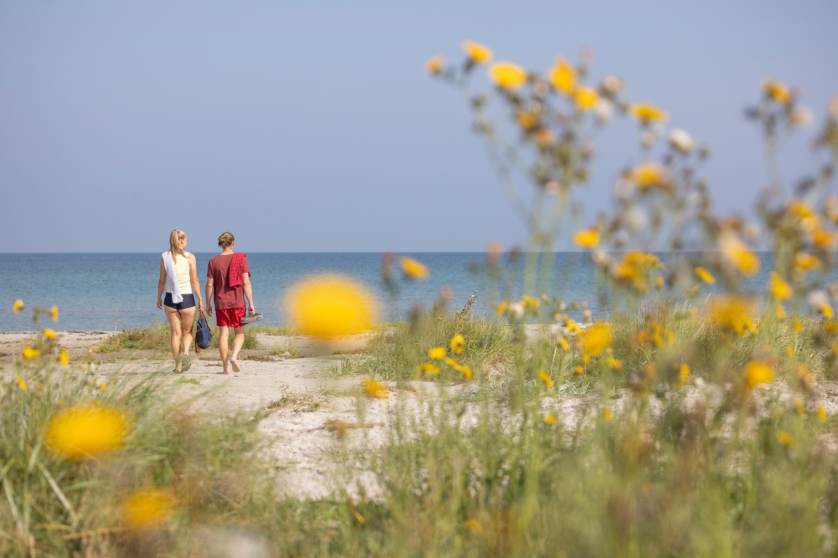 læsø strand