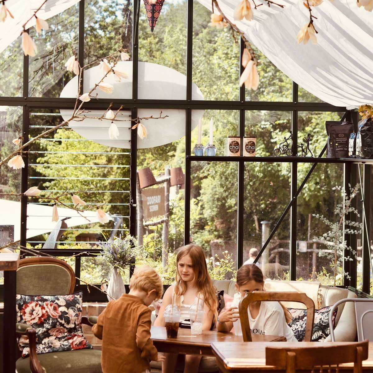 Penny Lane i Aalborg Zoo