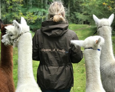 Alpacas of Fredly
