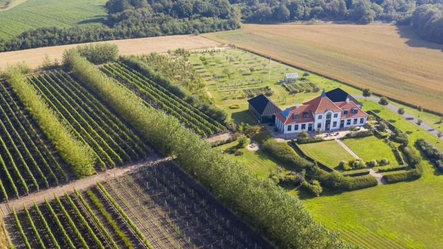 Nygårdsminde Vingård