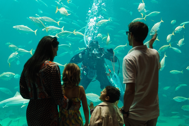 Nordsoen Oceanarium 