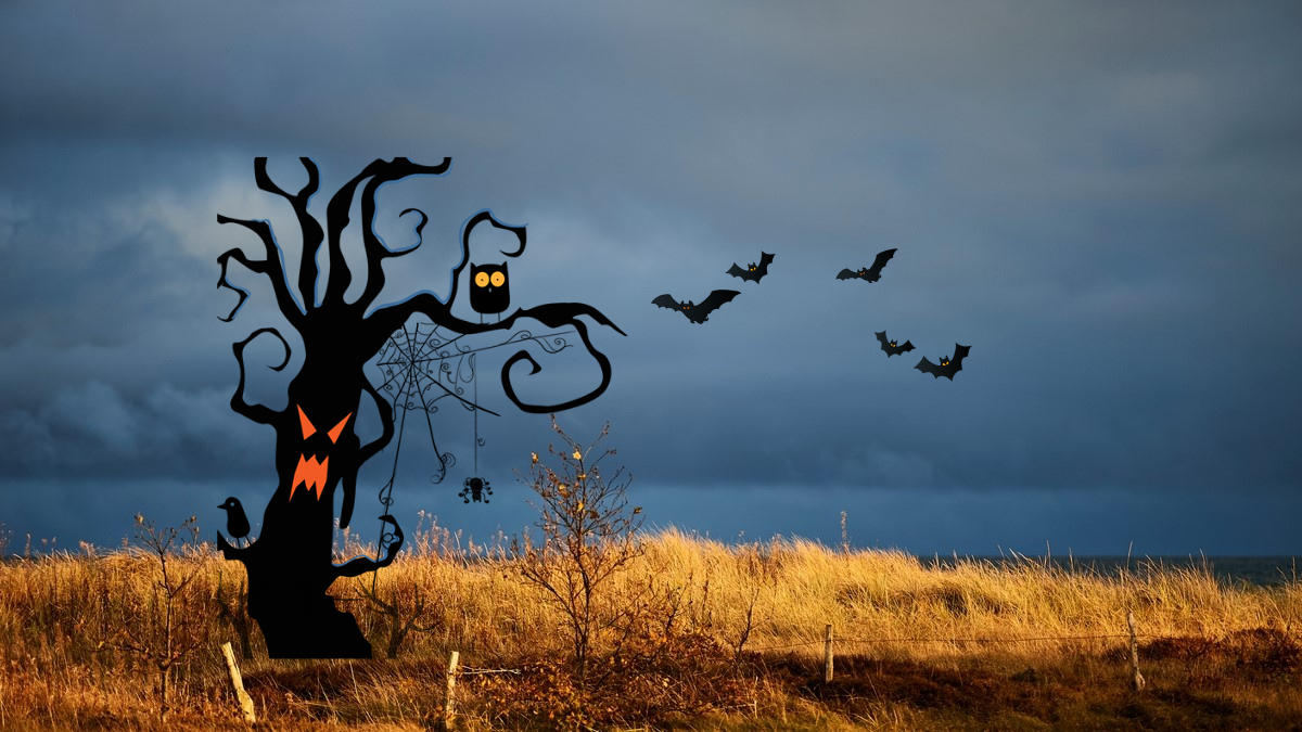 Lille Vildmose med halloween pynt 