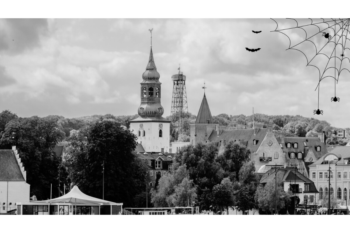 Budolfi kirke med spindelvæv i hjørnet 