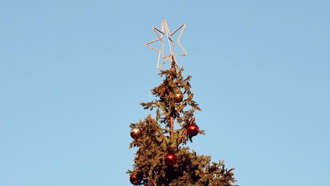 Juletræ