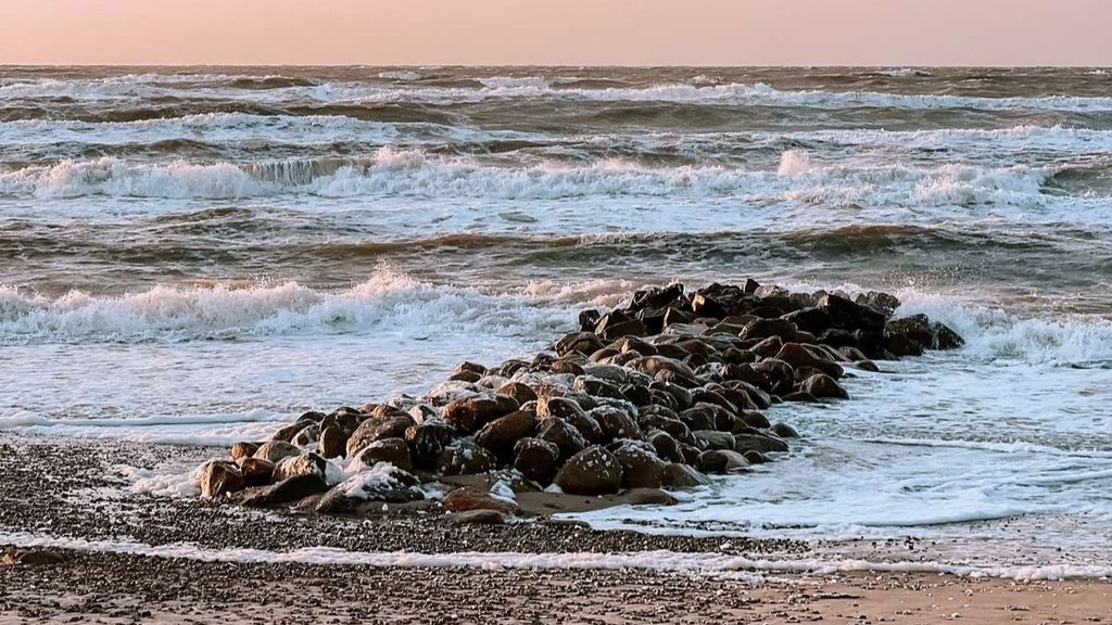 Havet ved Skagen 