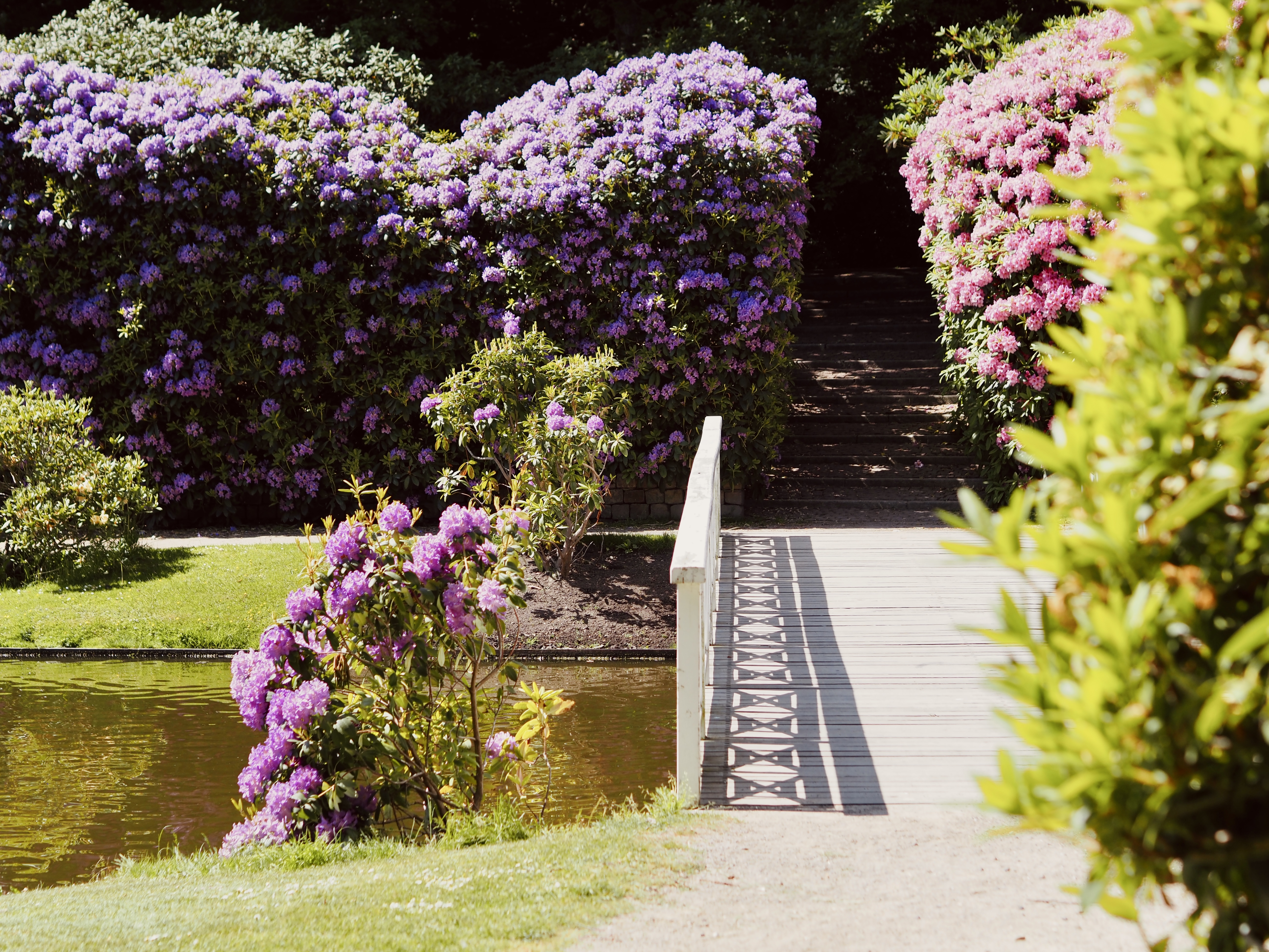 Rhododendronparken 