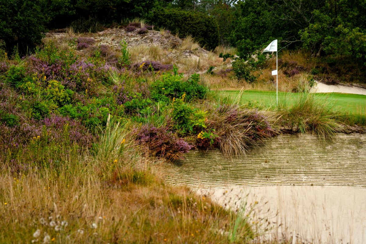 Golfklubben hvide klit