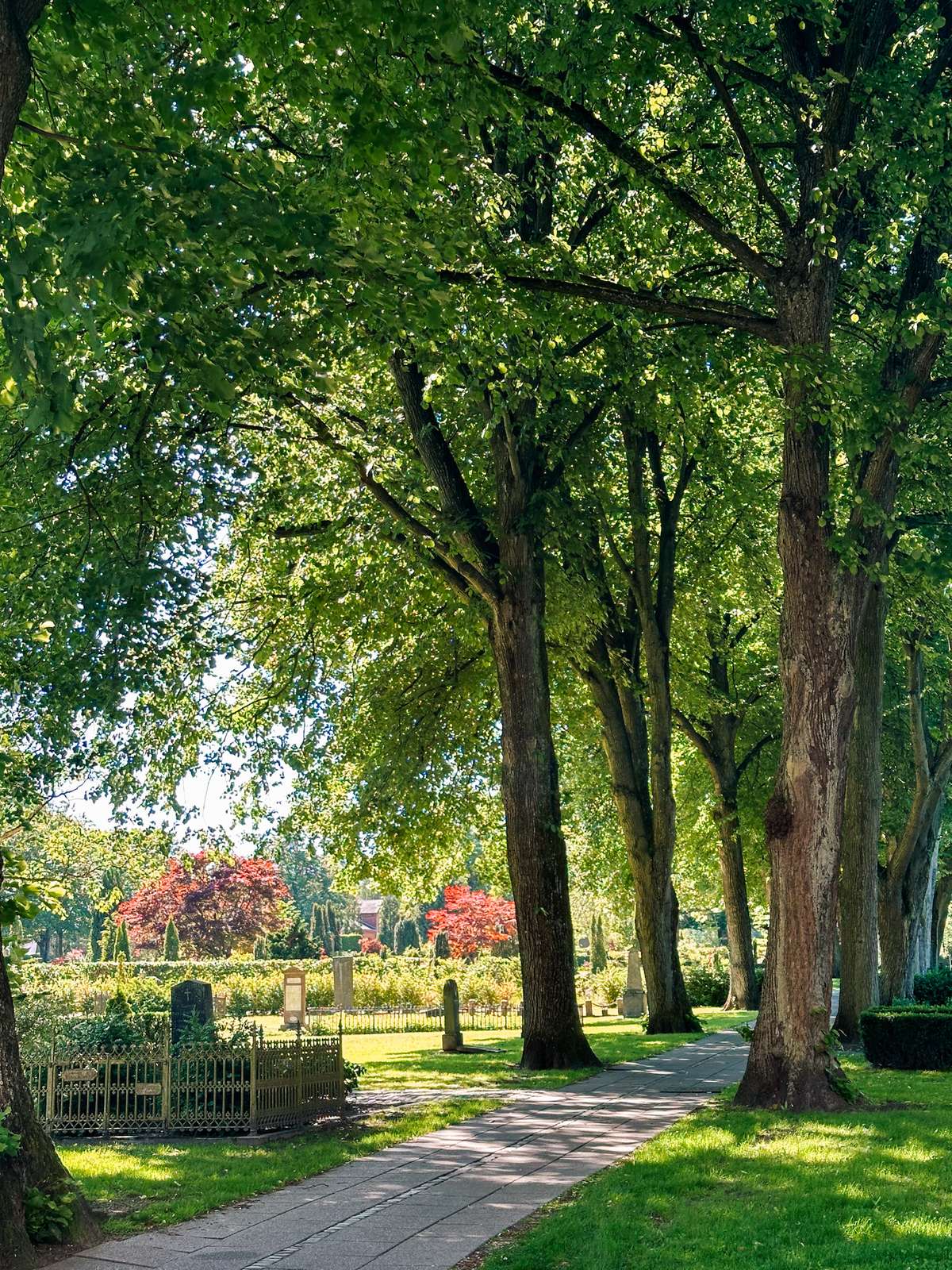 Almen Kirkegård Aalborg