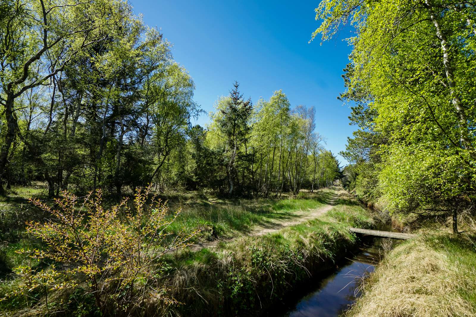 Naturture i Brønderslev Kommune