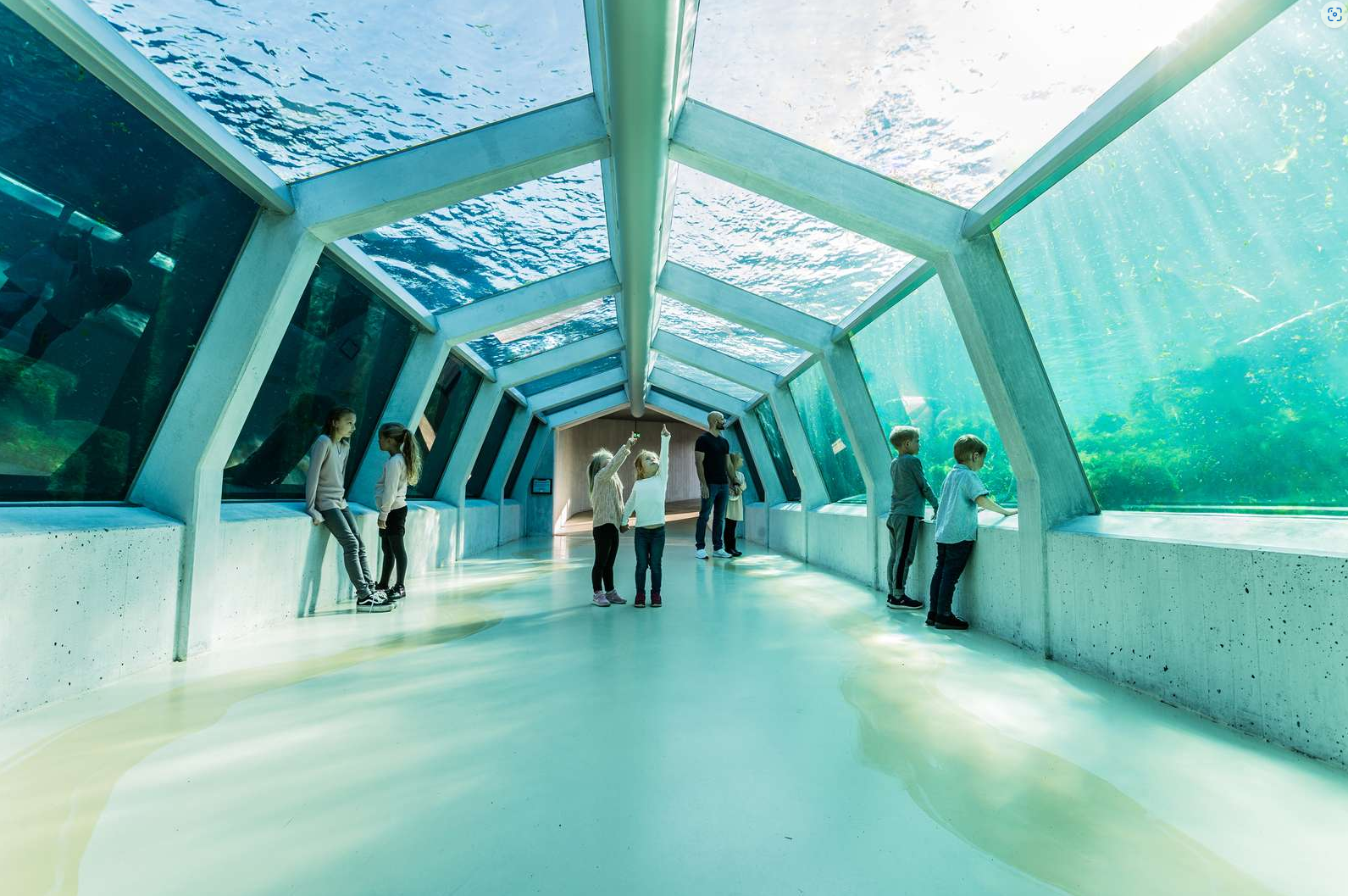 Undervands tunnel v.  Nordsøen Oceanarium 