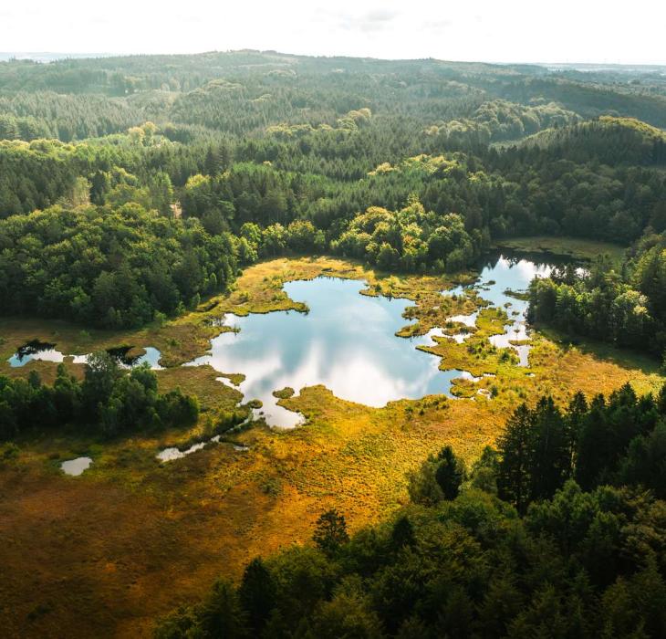 Natur i Nordjylland
