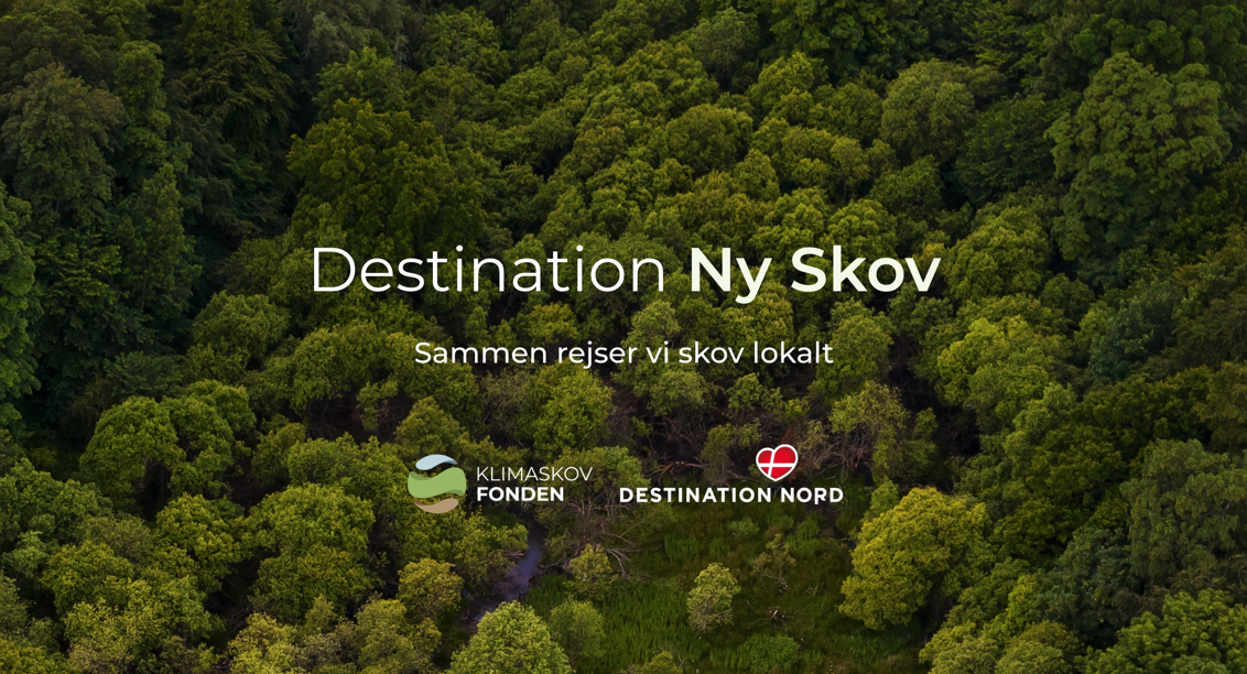 Turismevirksomheder og turister skal plante træer for klimaets skyld