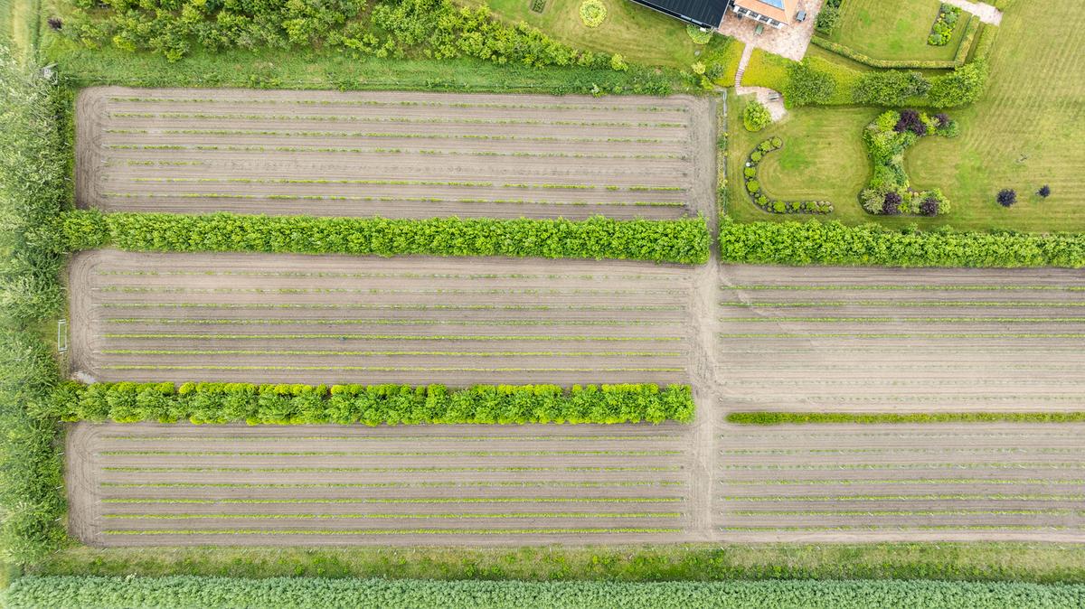 Nygårdsminde Vingård fra oven