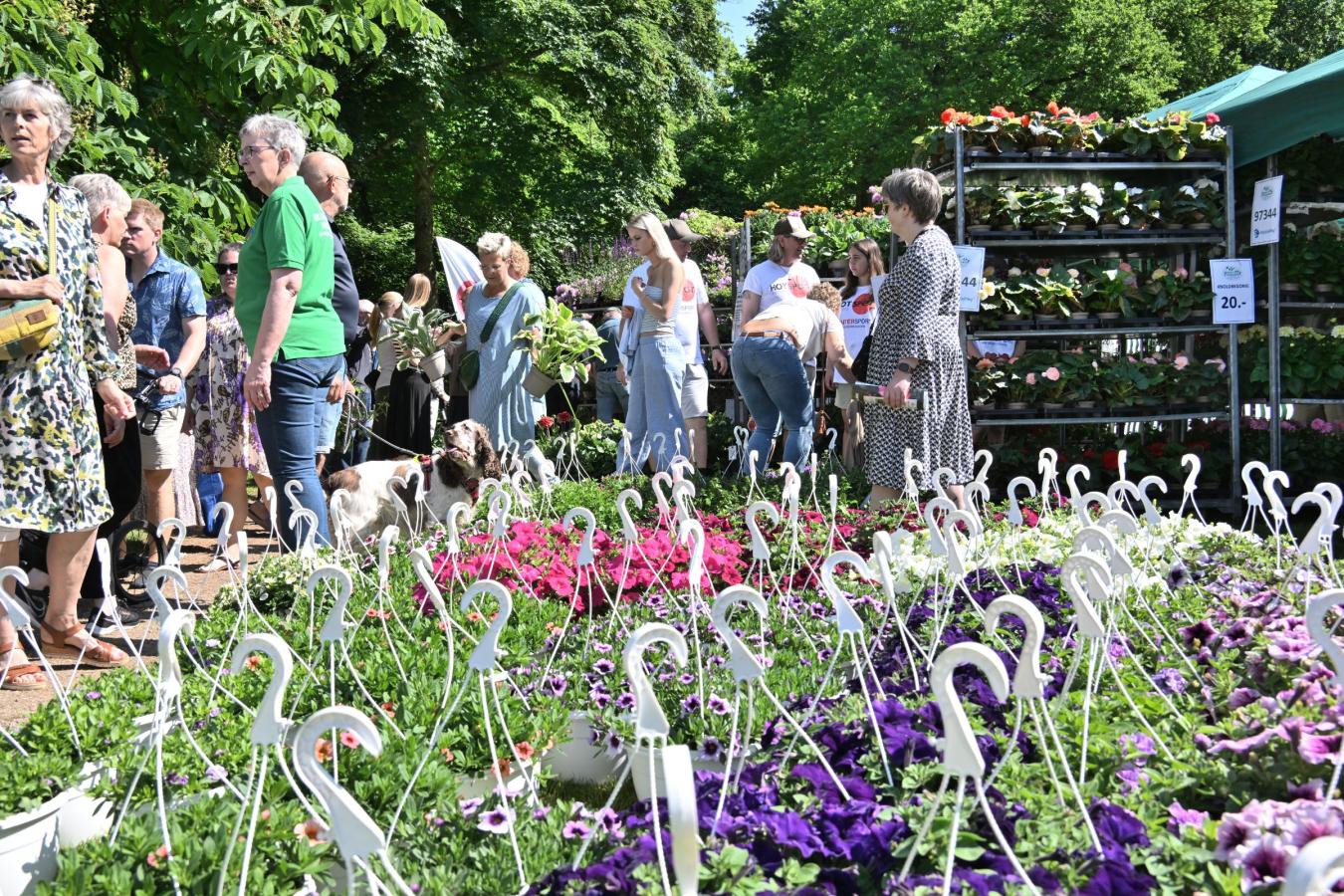 Bangsbo Blomsterfestival