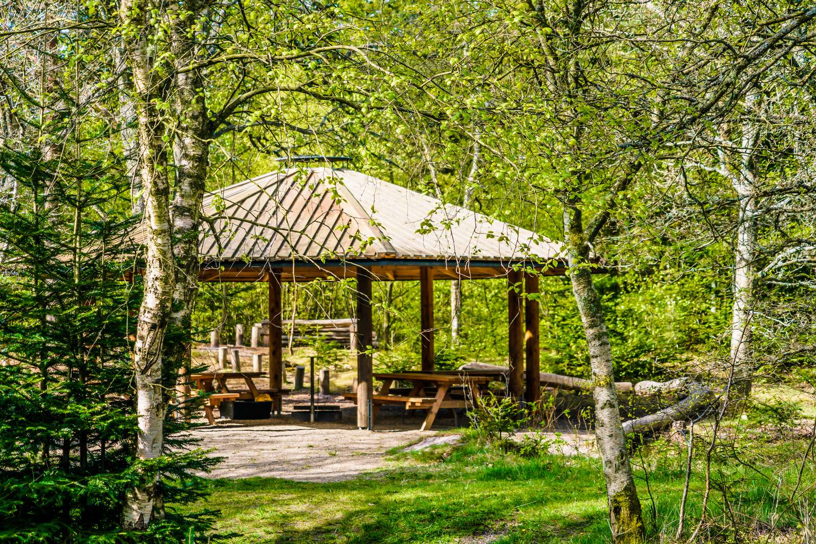 Ålbæk Klitplantage 