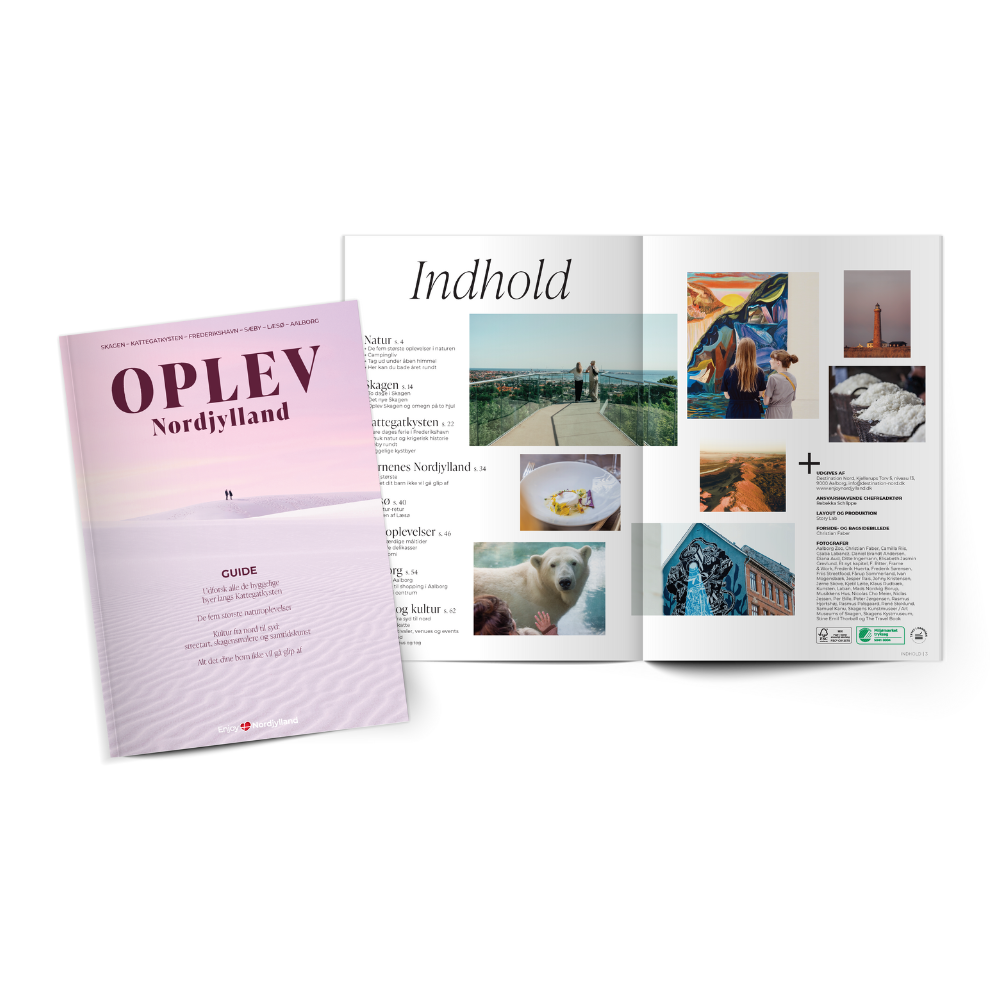 Mock up af vores danske guide 2025