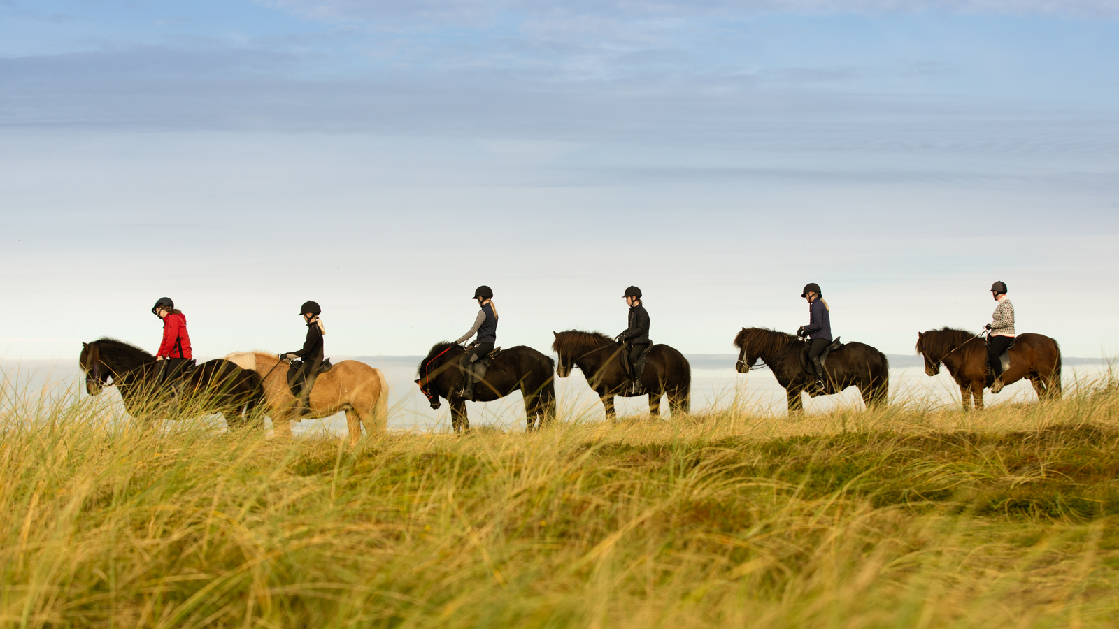 En flok der ridder omkring Fårup Sommerland