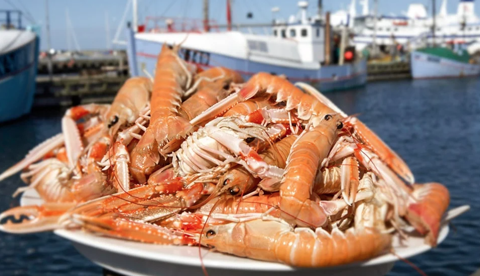 Jomfruhummerfestival