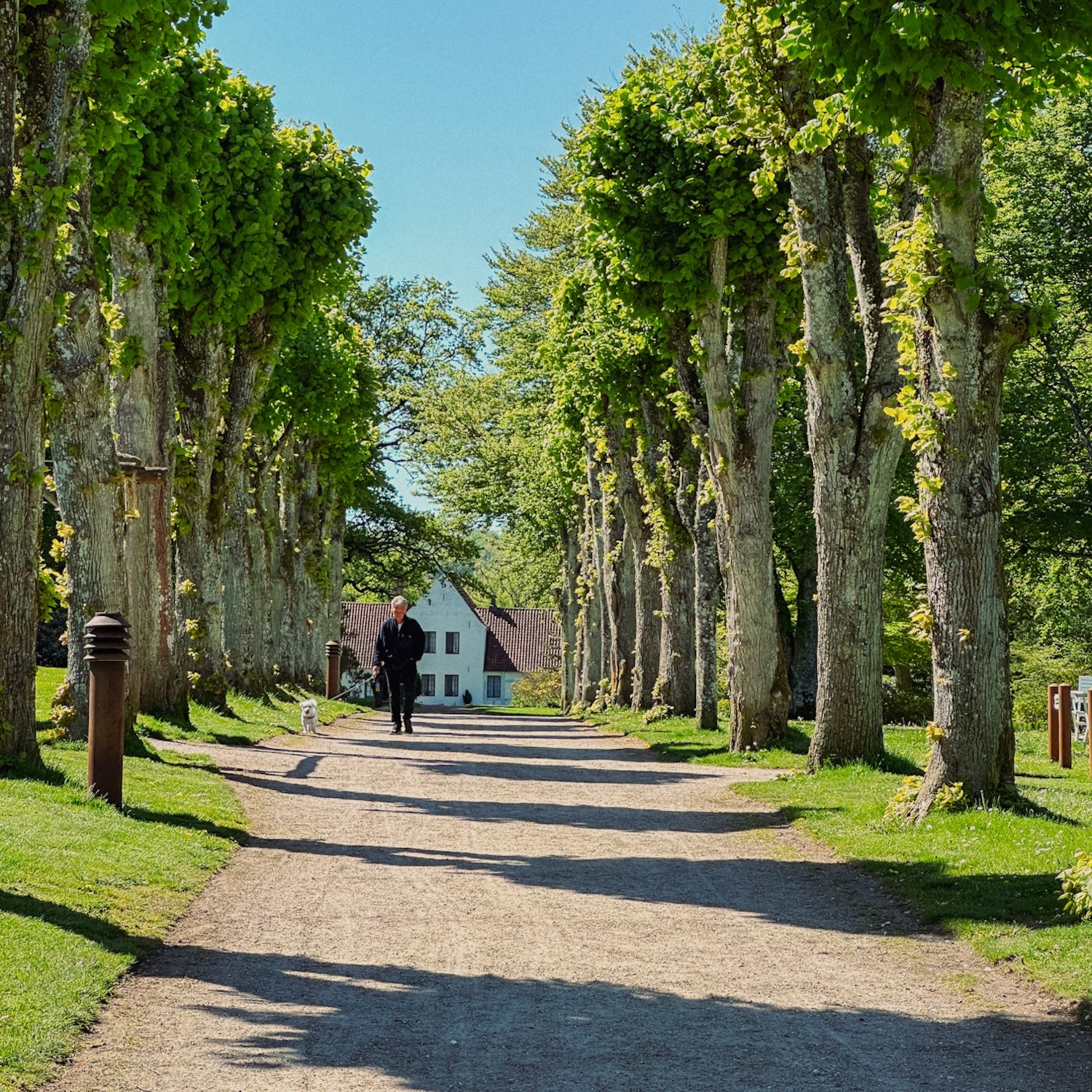 Stien i Bangsbo Botanisk Have