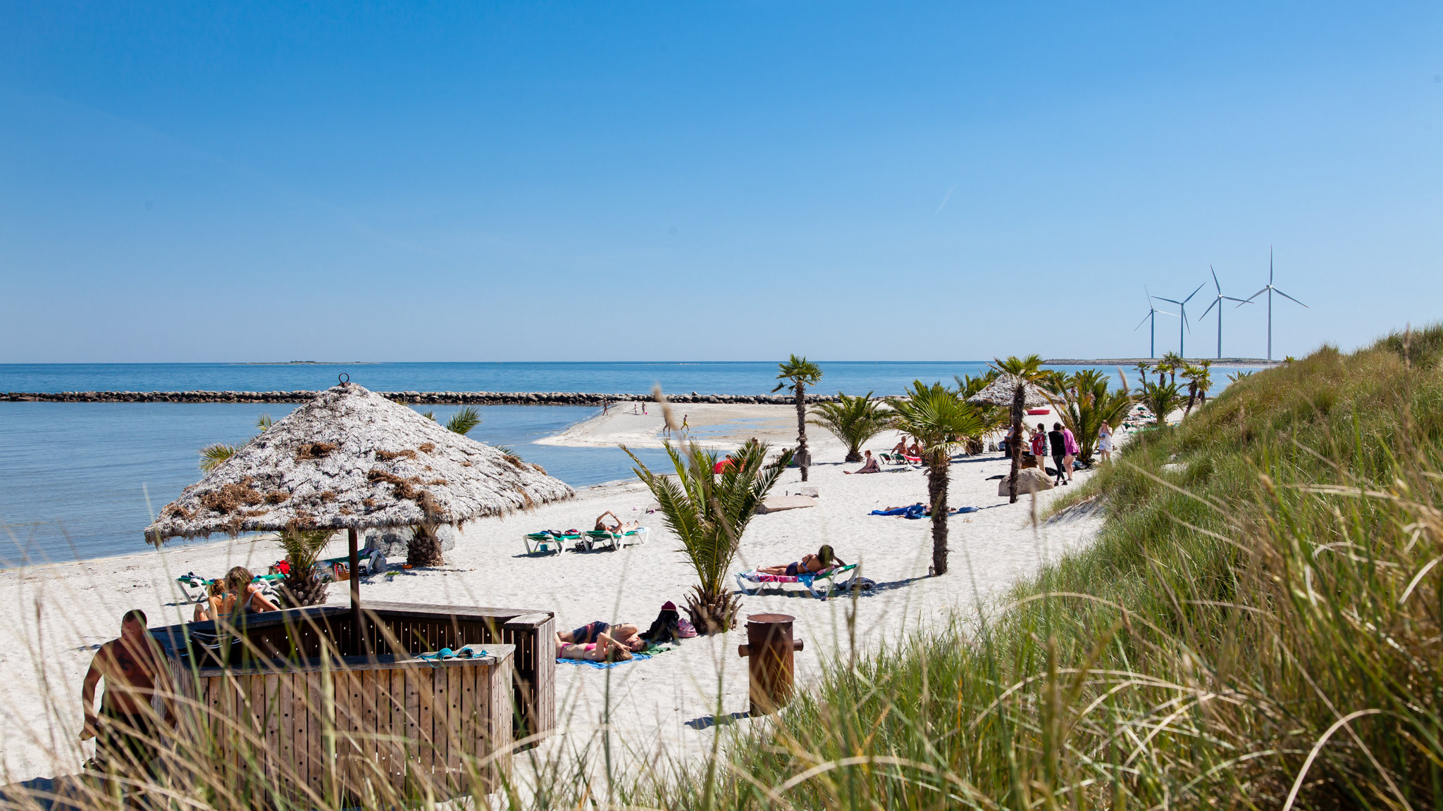 Frederikshavns Palmestrand i sommeren 