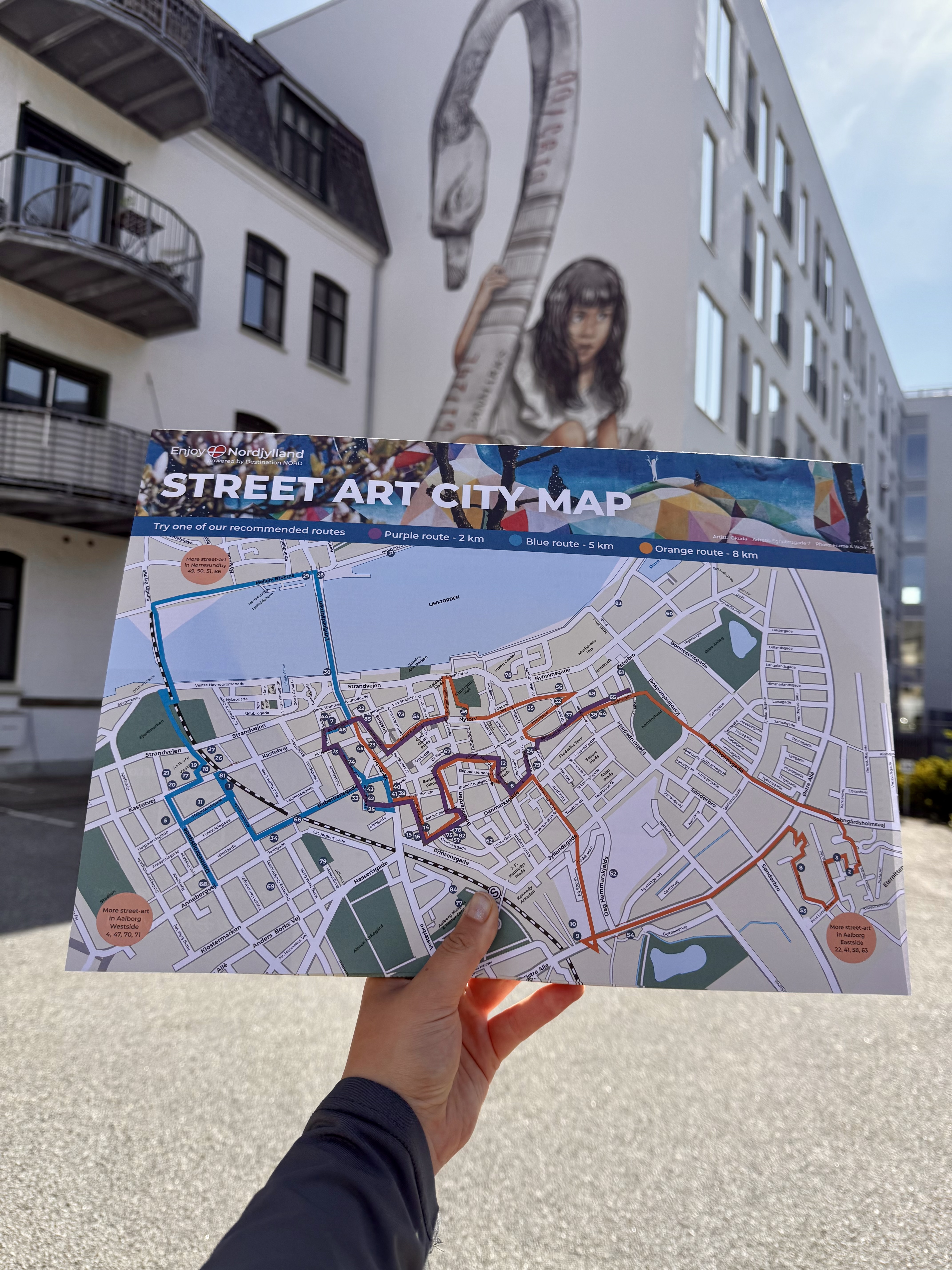 Splinternyt kort over Aalborgs streetart