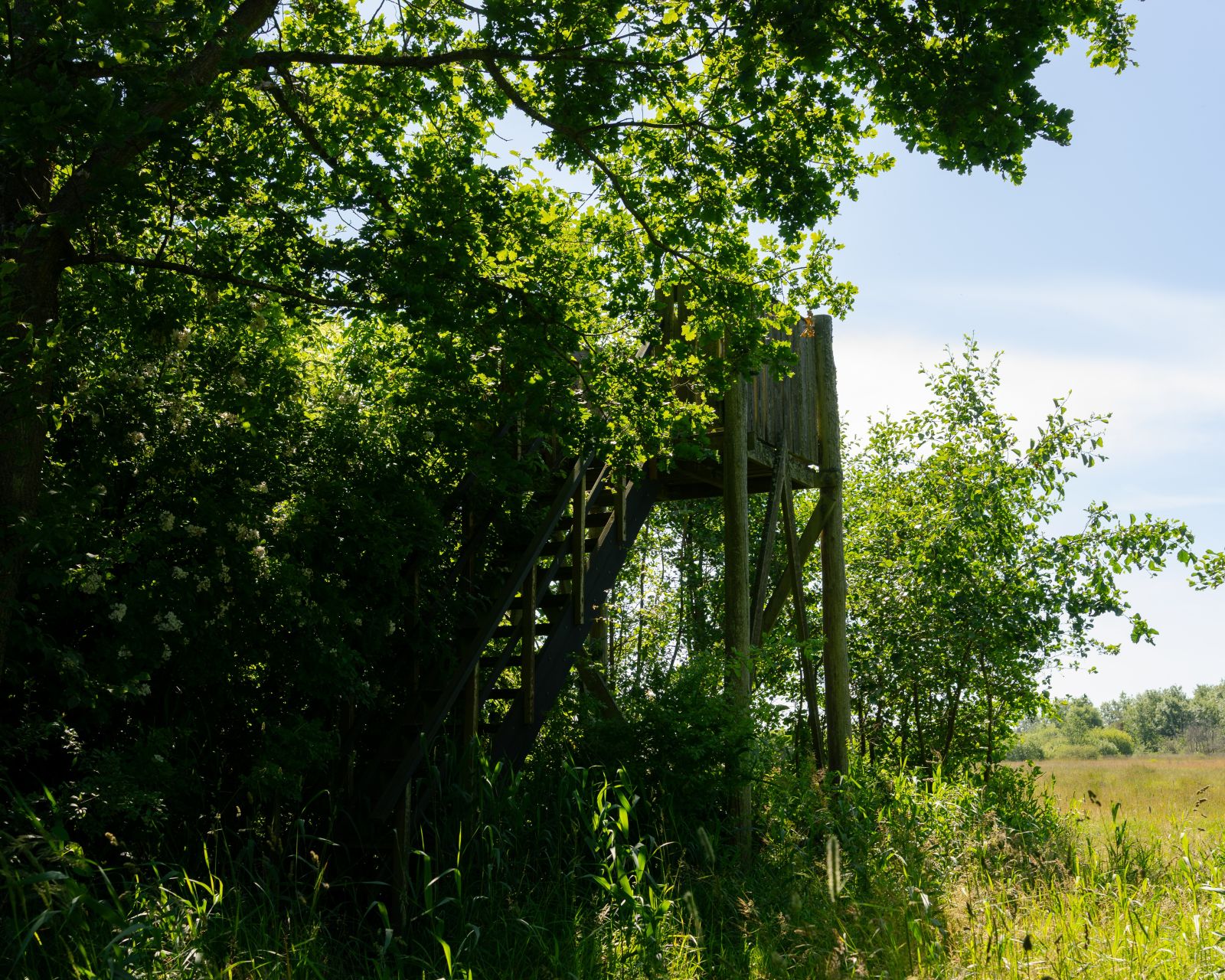 Udsigtspunkt 1 på Bannerslundstien