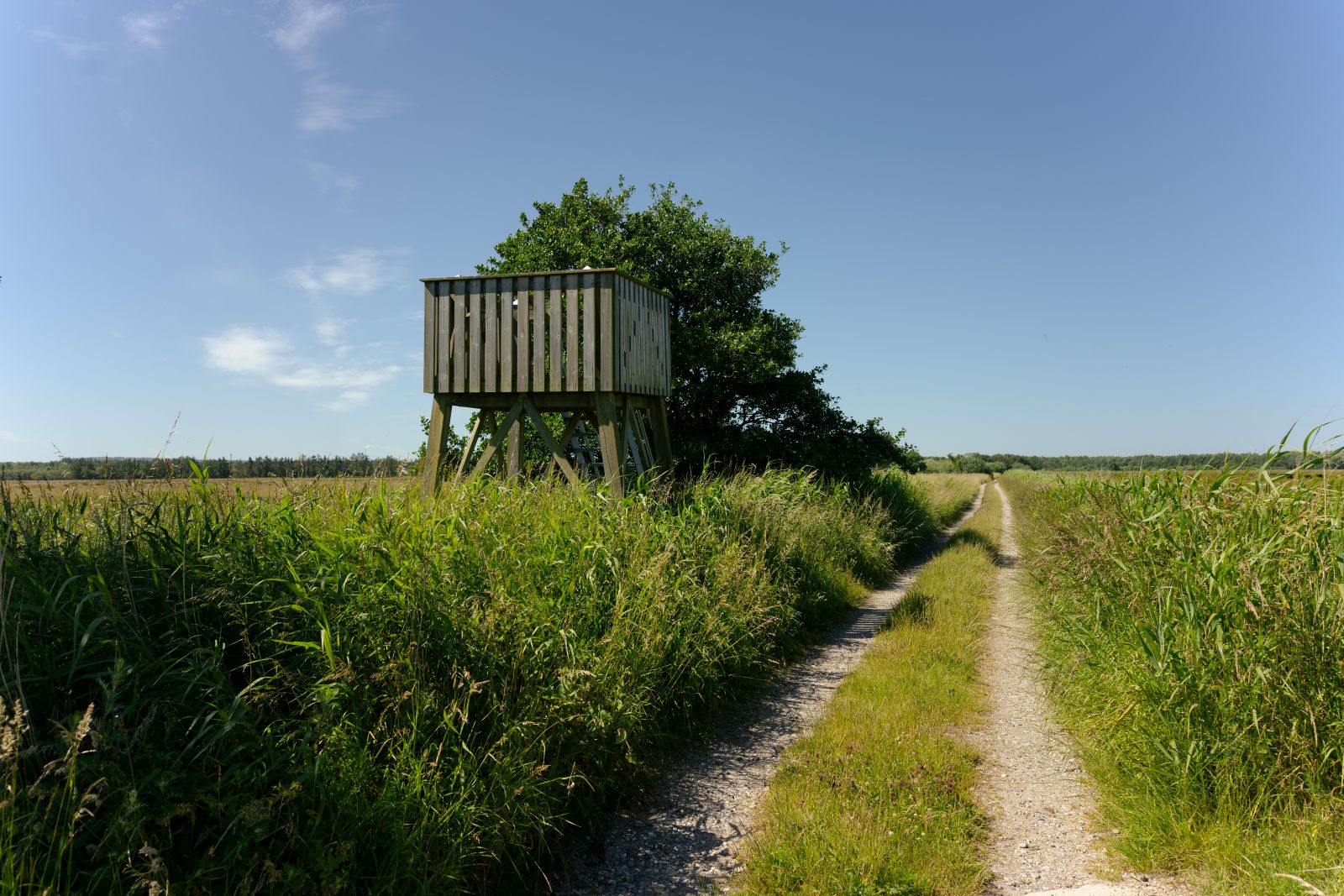 Udsigtspunkt 2 på Bannerslundstien