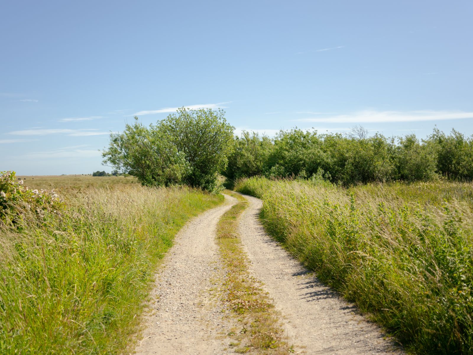 Vej mod stranden (ved Elling Å)