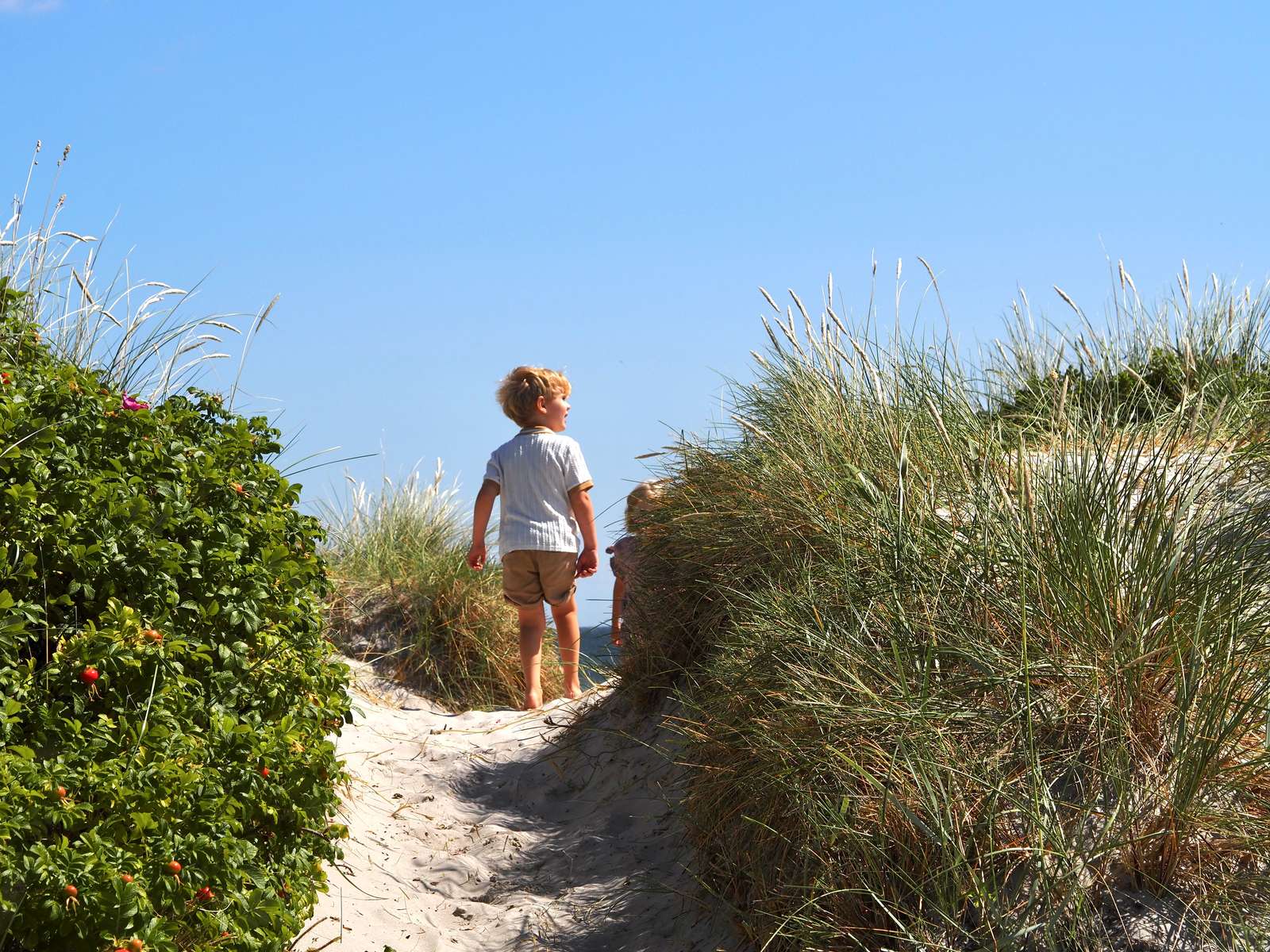 Experiences for children in Asaa | Enjoy Nordjylland