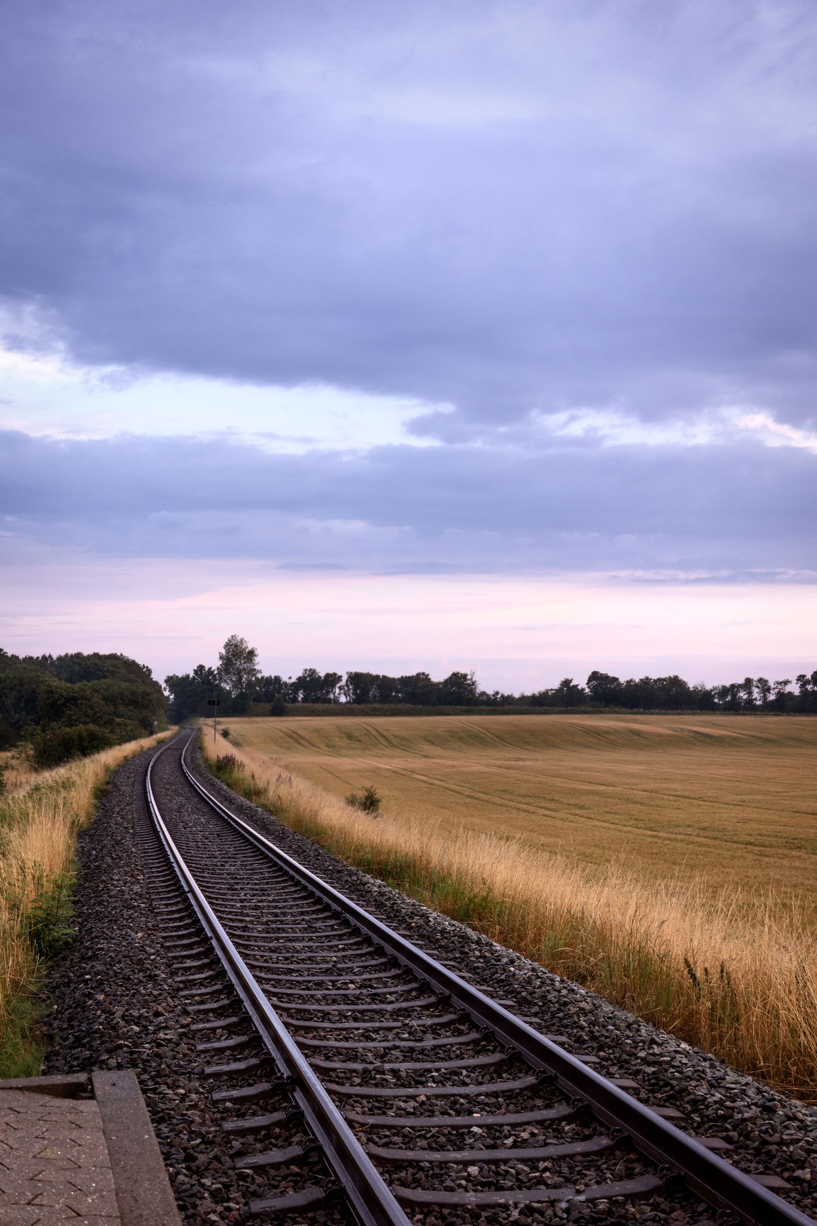 Togskinner i Nordjylland