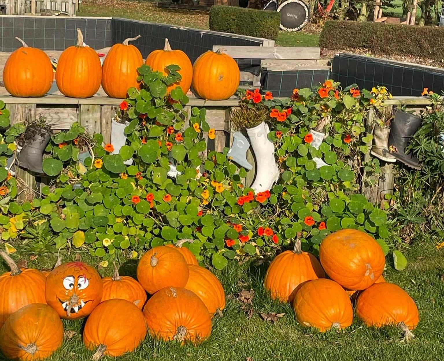 Halloween hos Jensens Jordbær