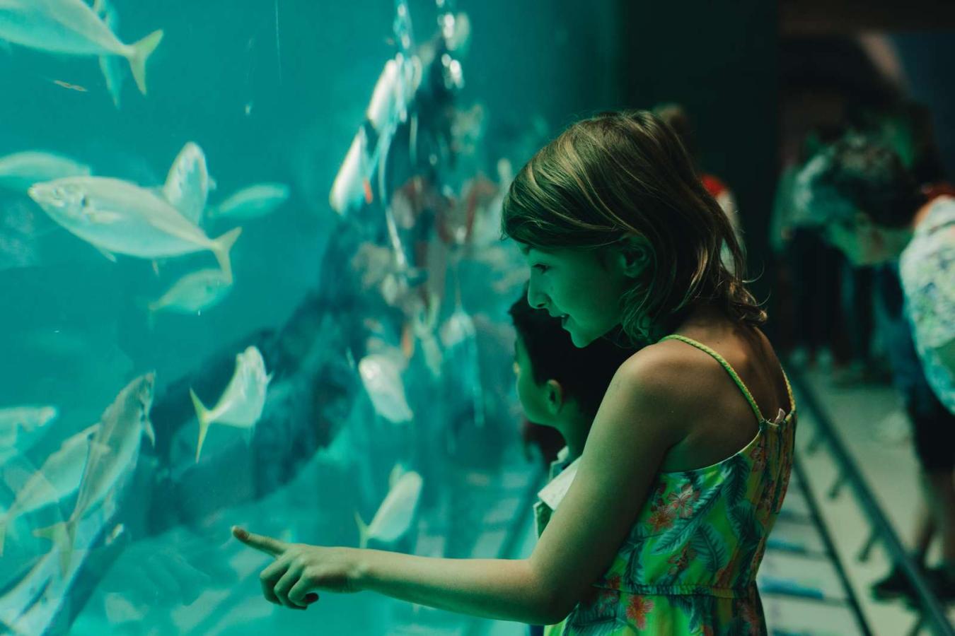 Nordsøen Oceanarium